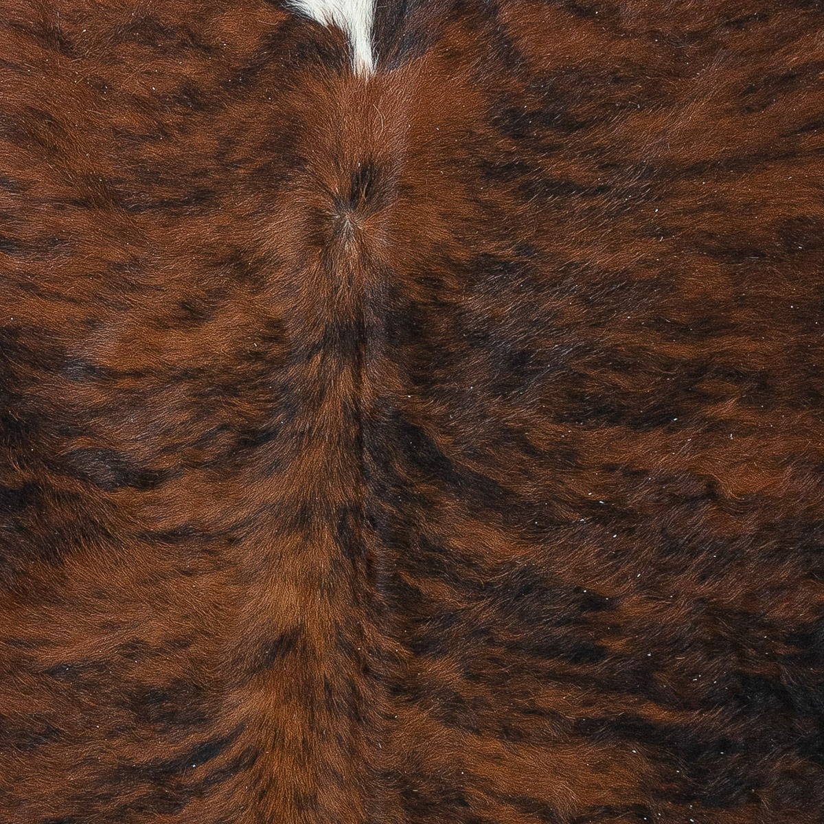 Lg Brindle