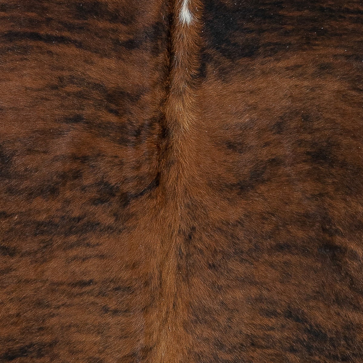 Lg Brindle