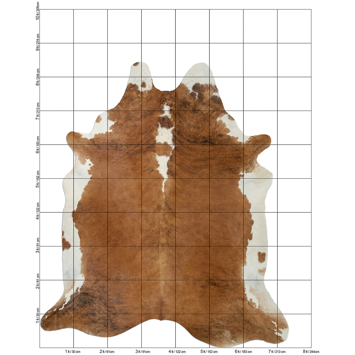 XL Brindle
