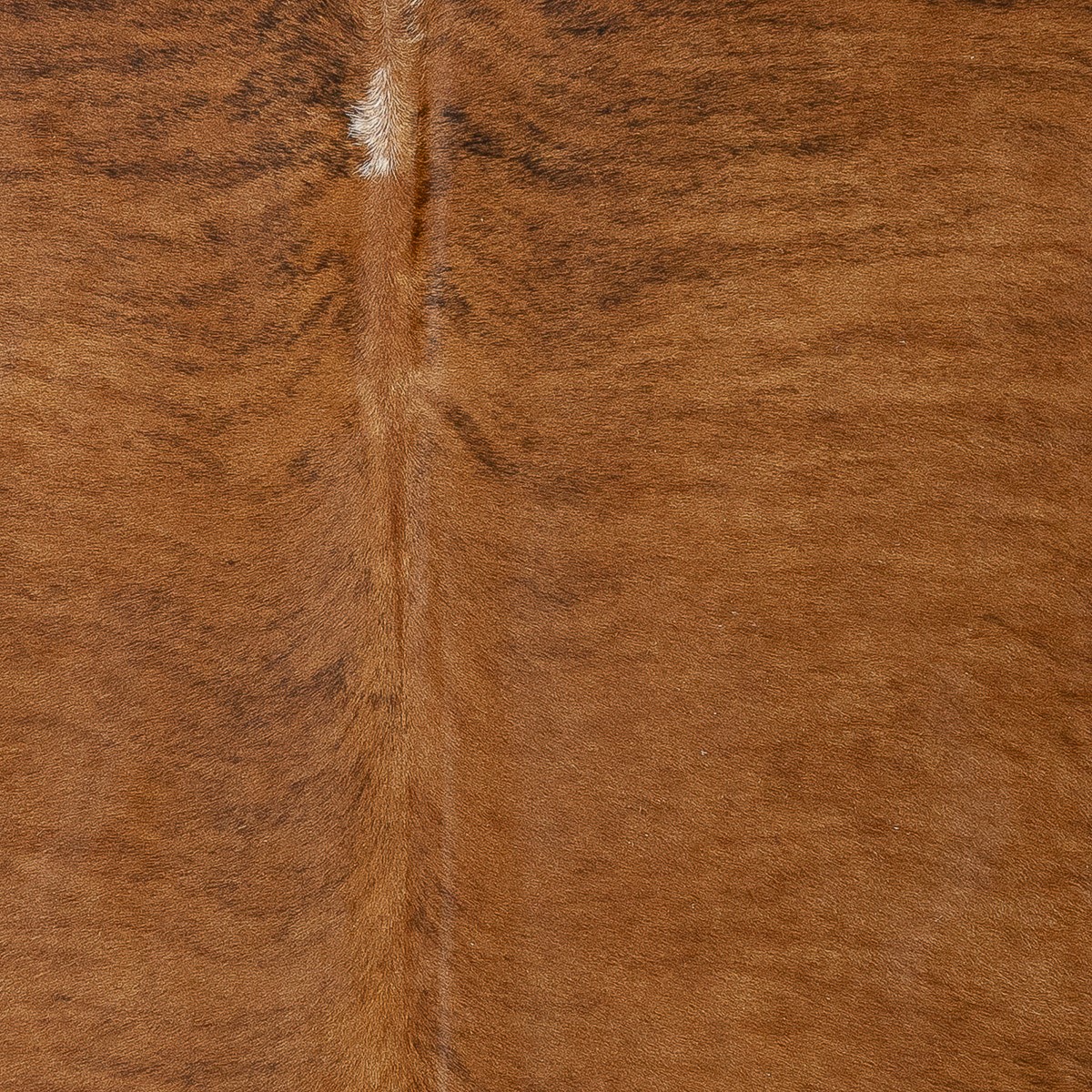 Lg Brindle