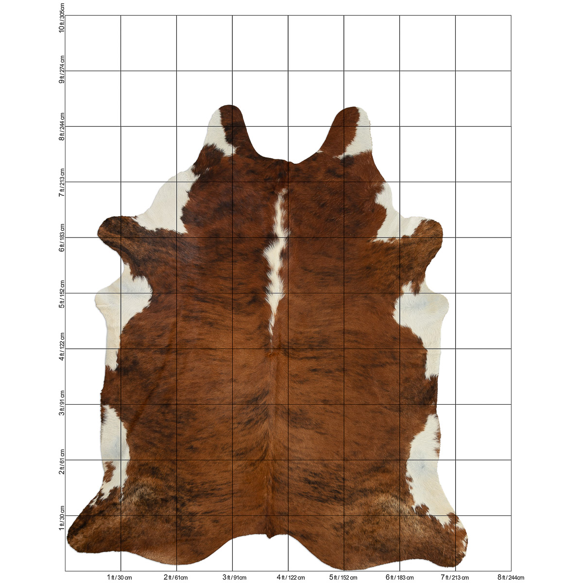 XL Brindle