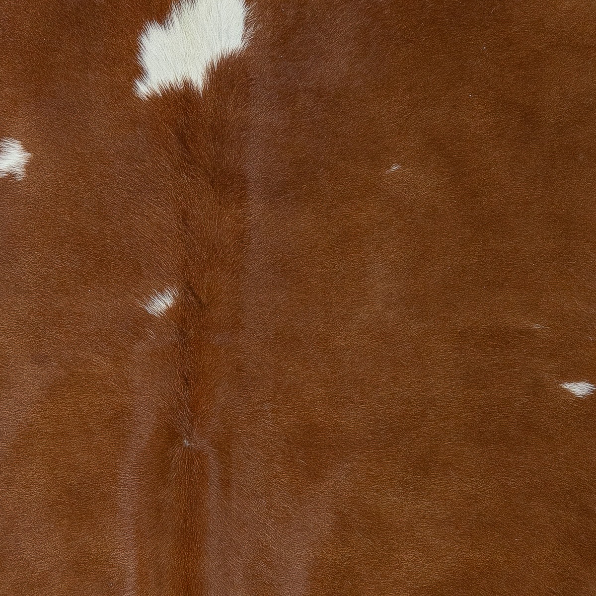 Lg Brown & White