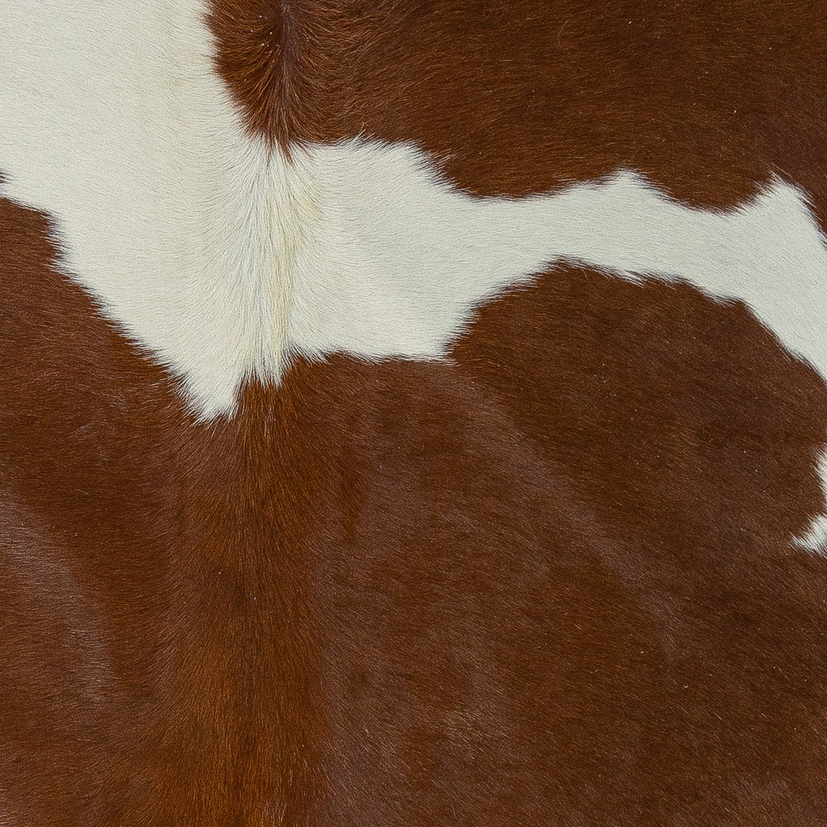 Lg Brown & White