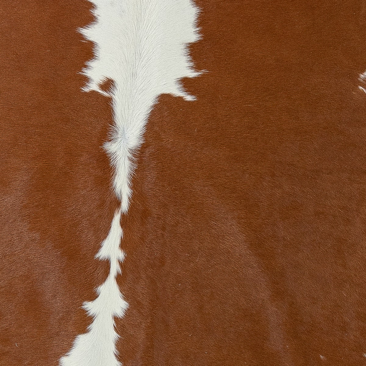 Lg Brown & White