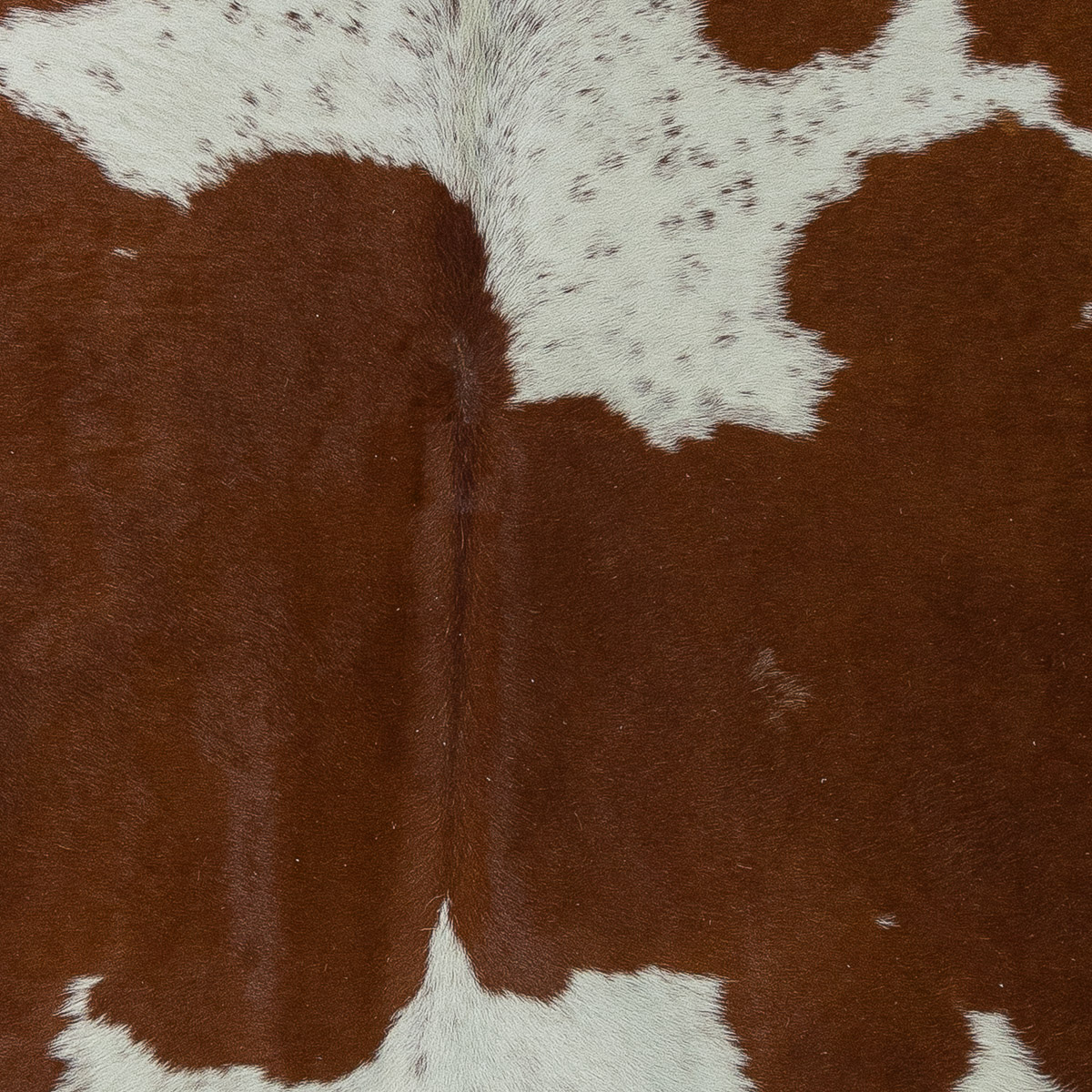 Lg Brown & White