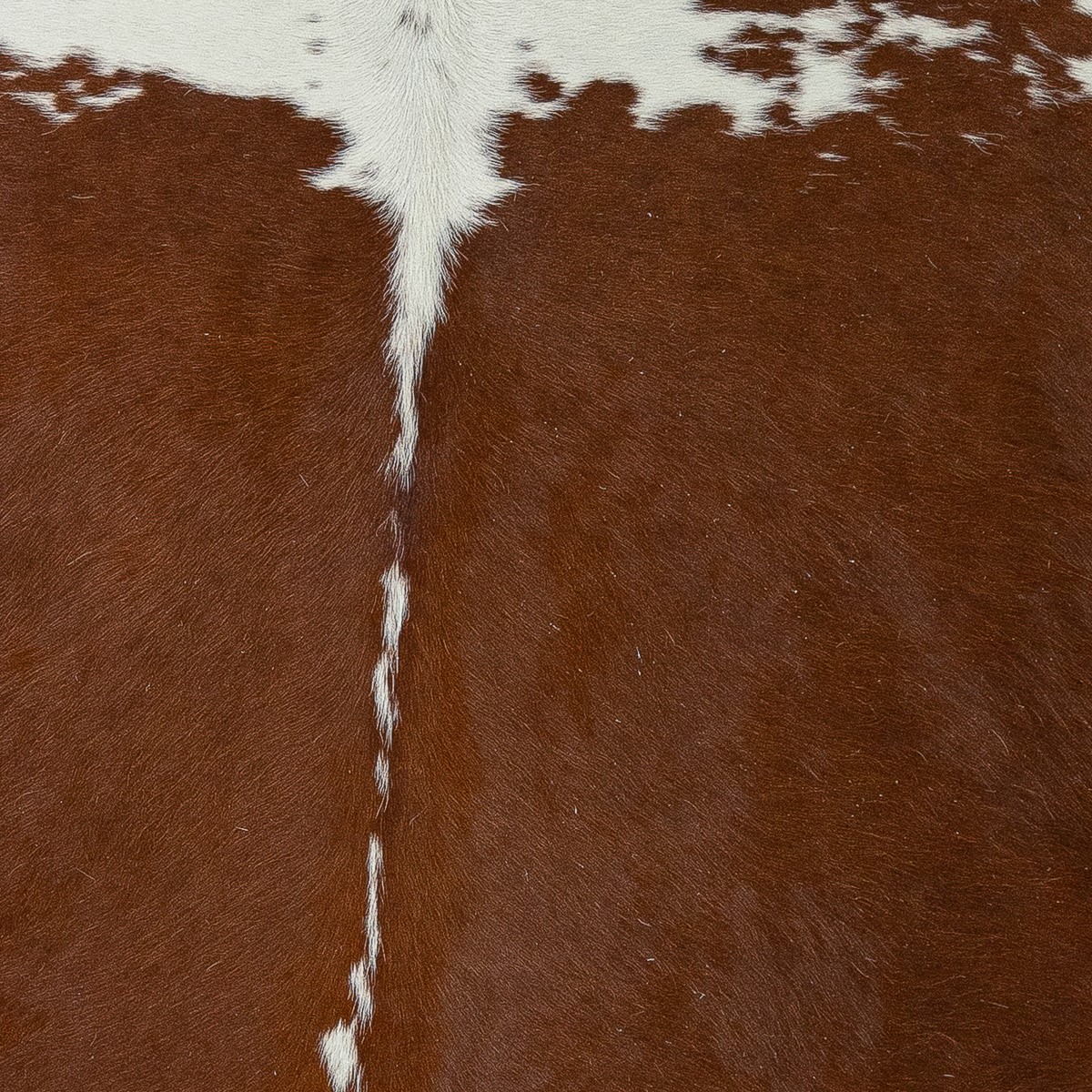 Lg Brown & White