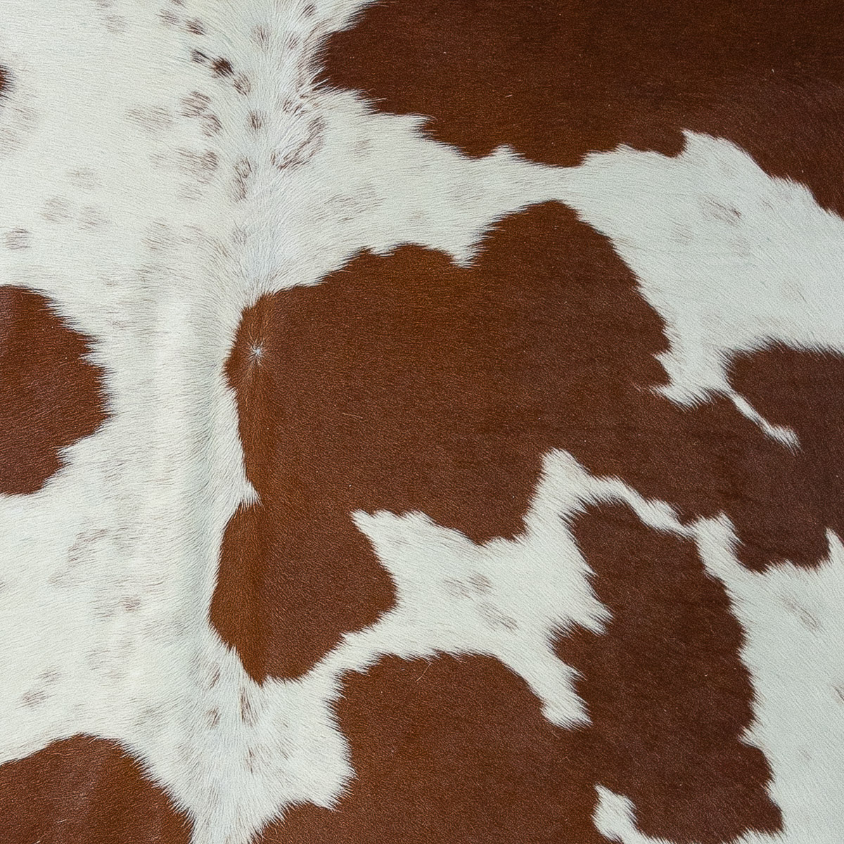 Lg Brown & White