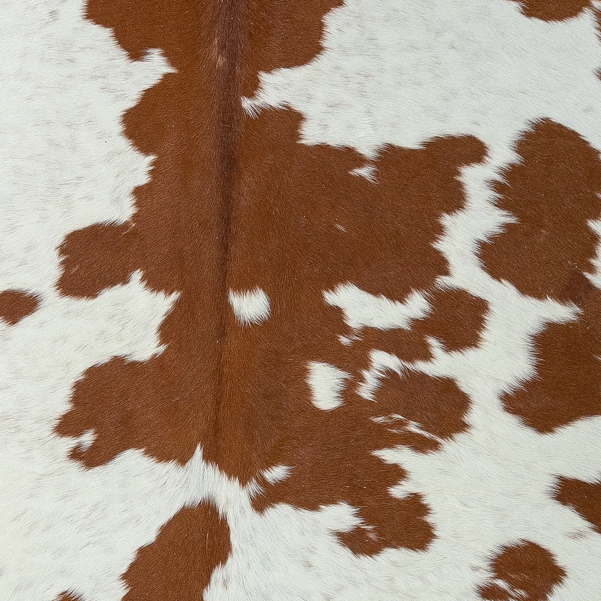Lg Brown & White