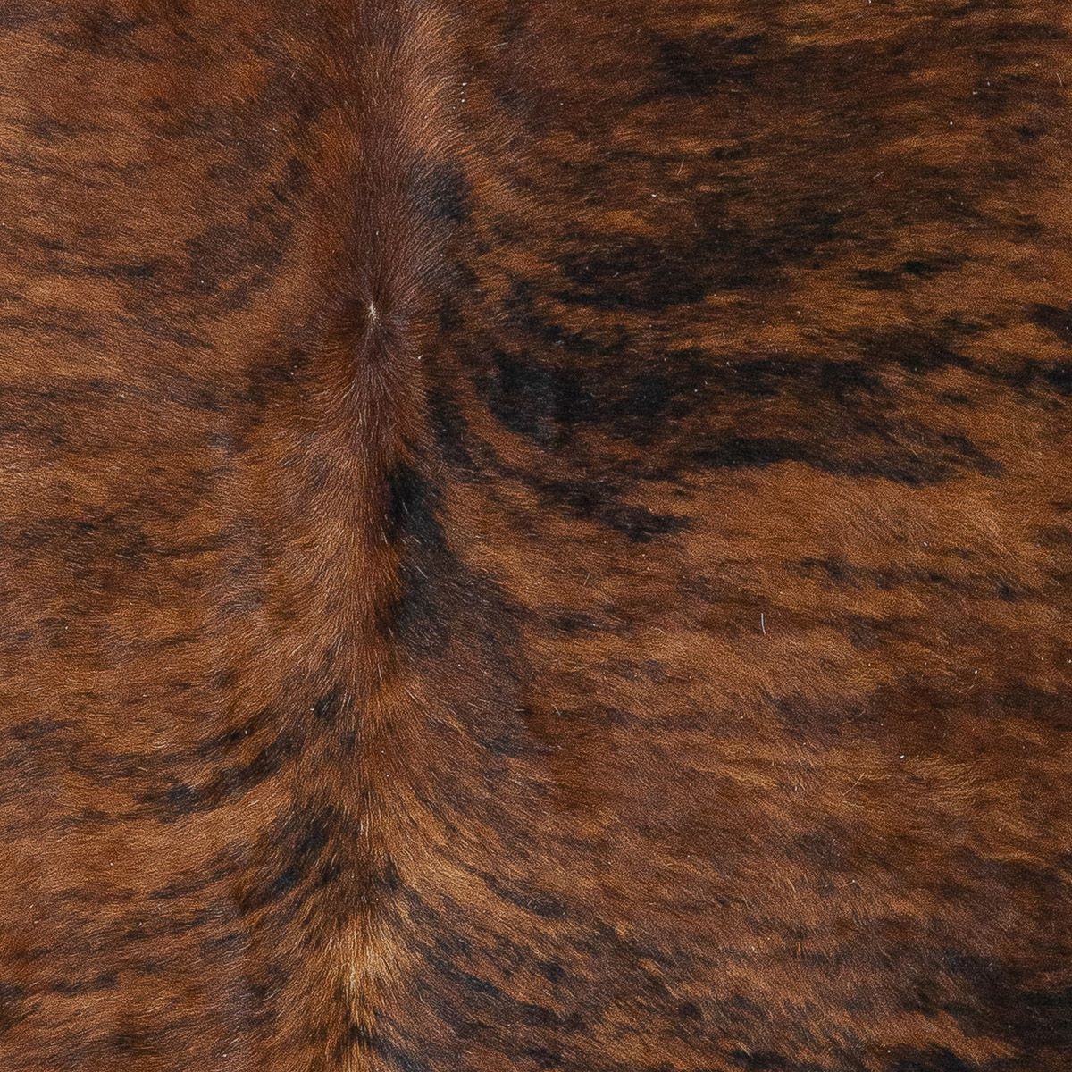Lg Brindle