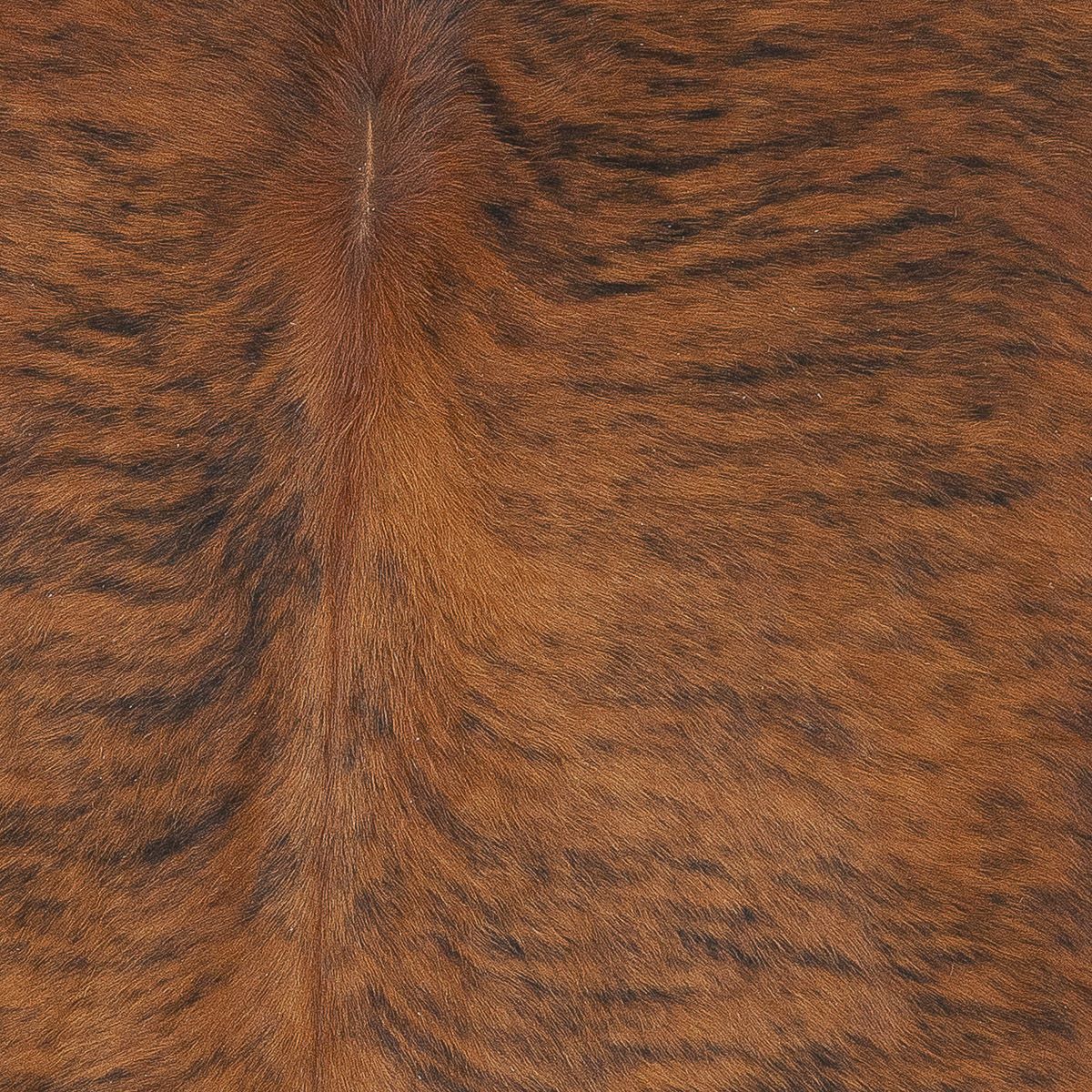 Lg Brindle