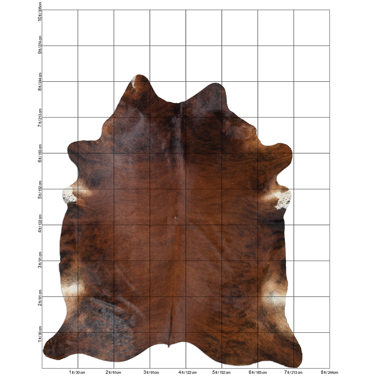 XL Brindle