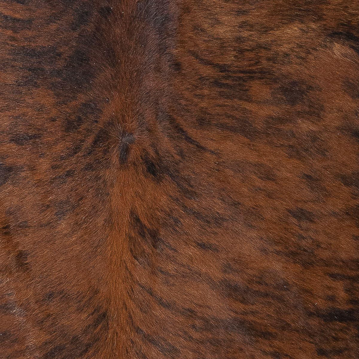 Lg Brindle