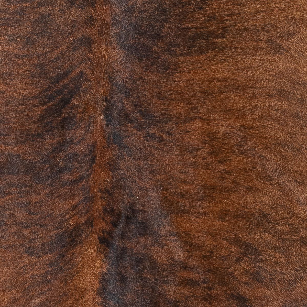 Lg Brindle