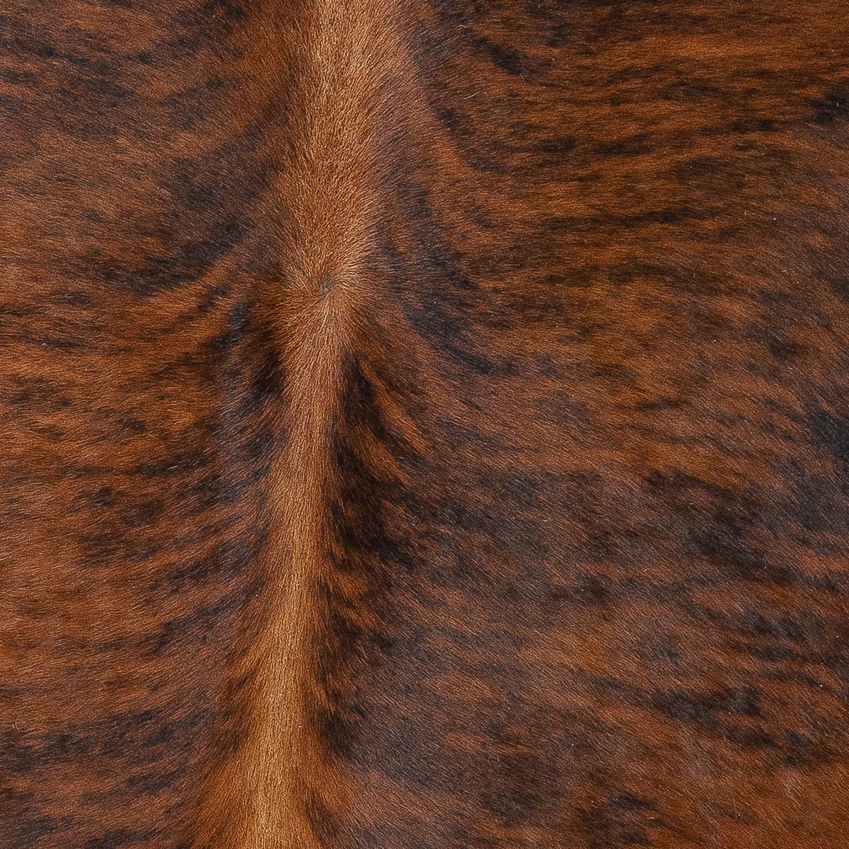 Lg Brindle