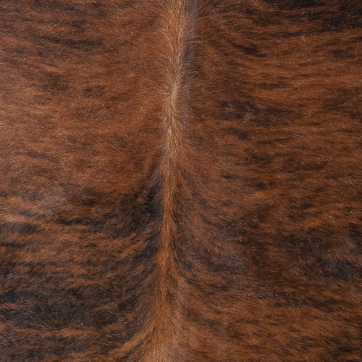 Lg Brindle