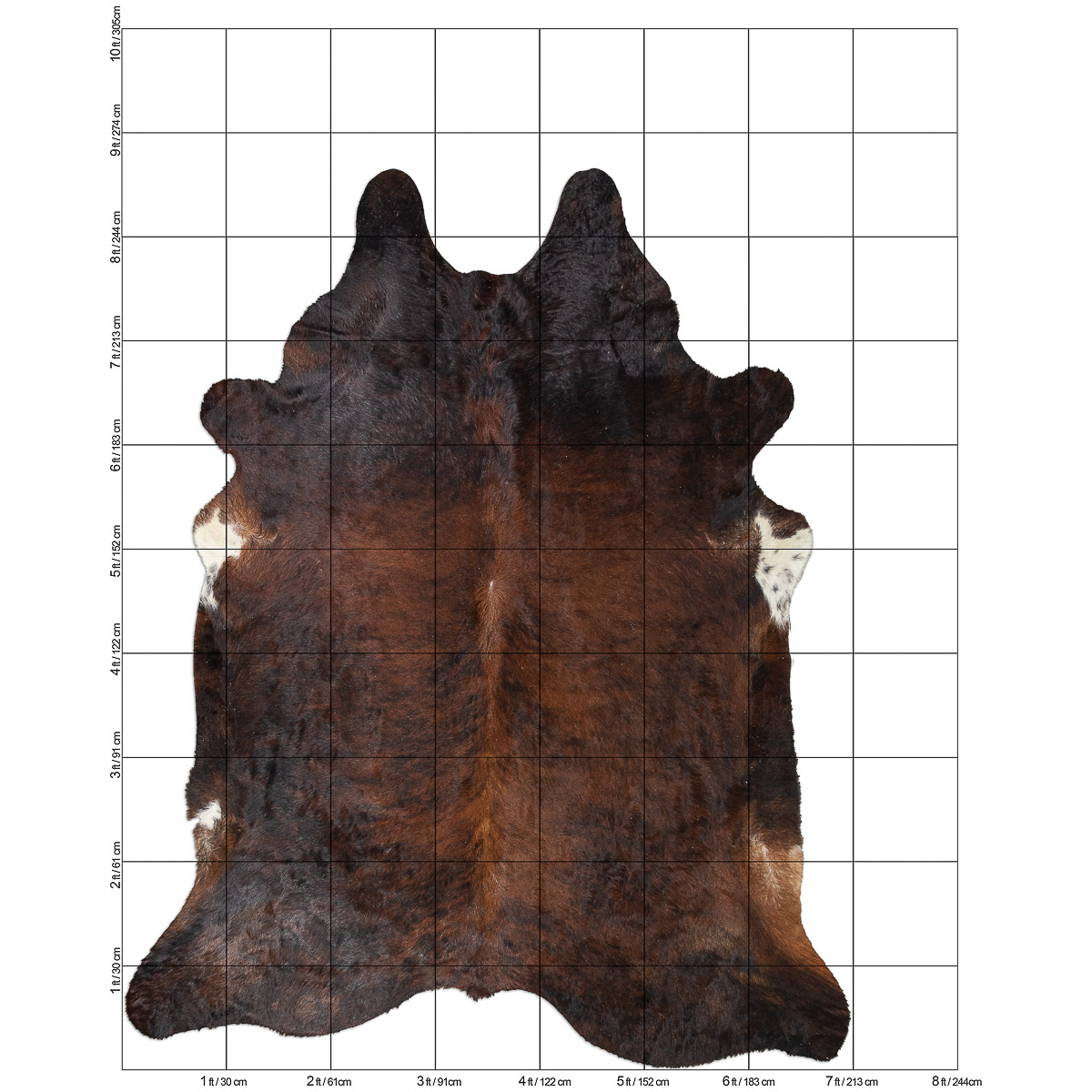 XL Brindle