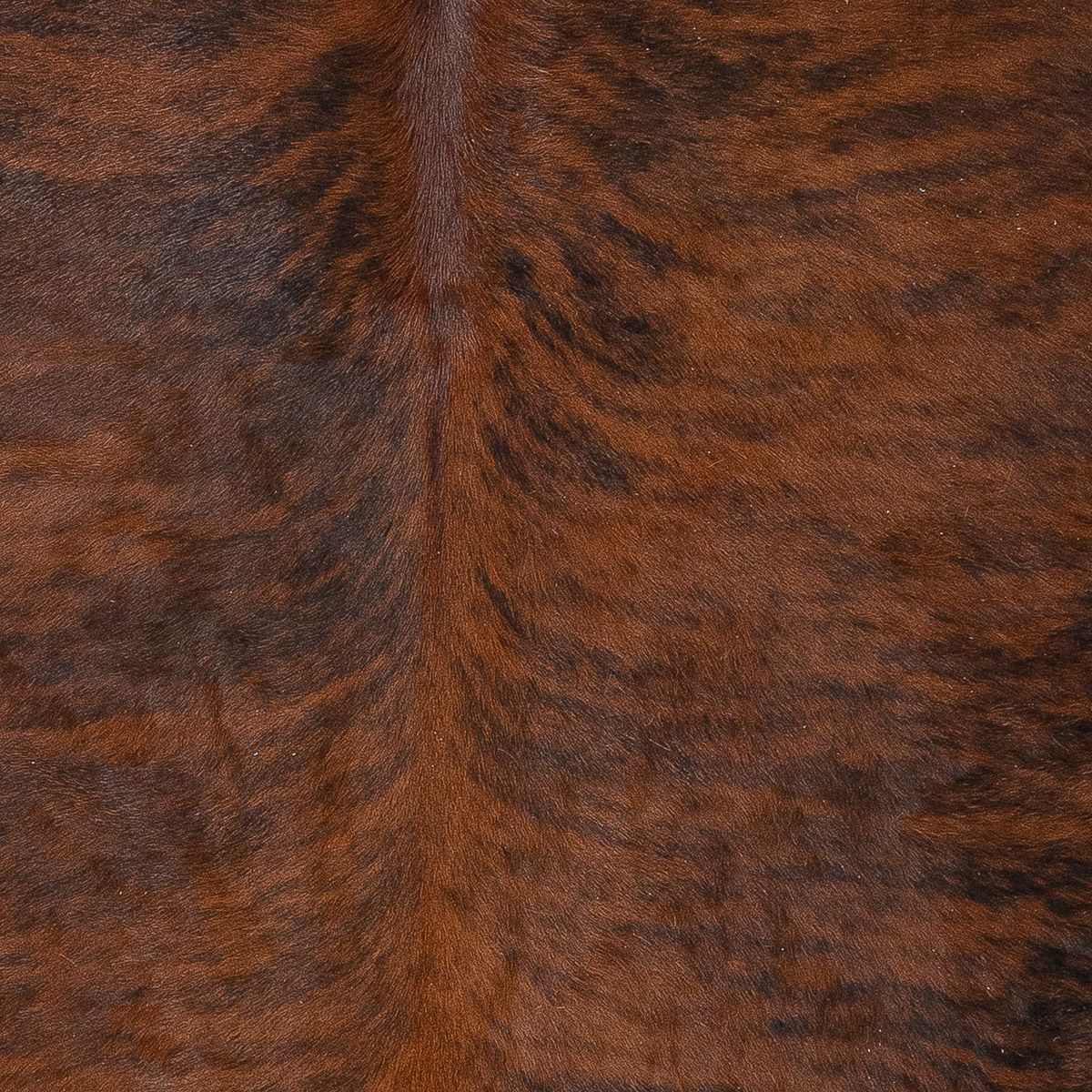Lg Brindle