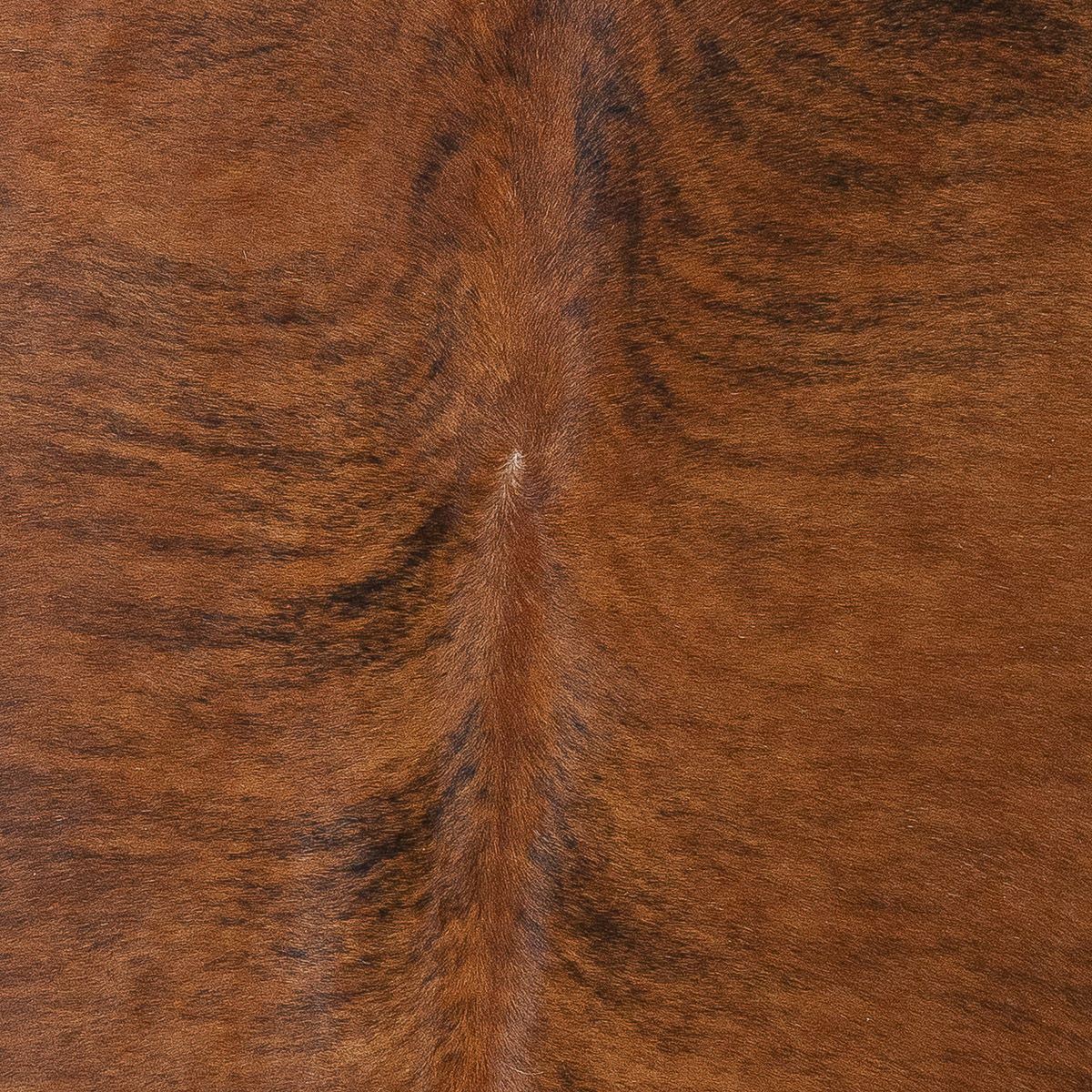 Lg Brindle