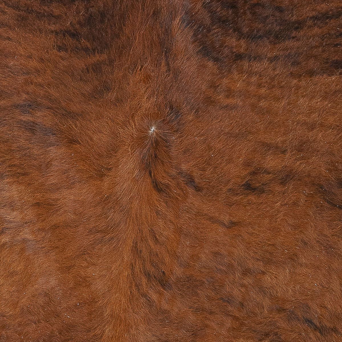 Lg Brindle
