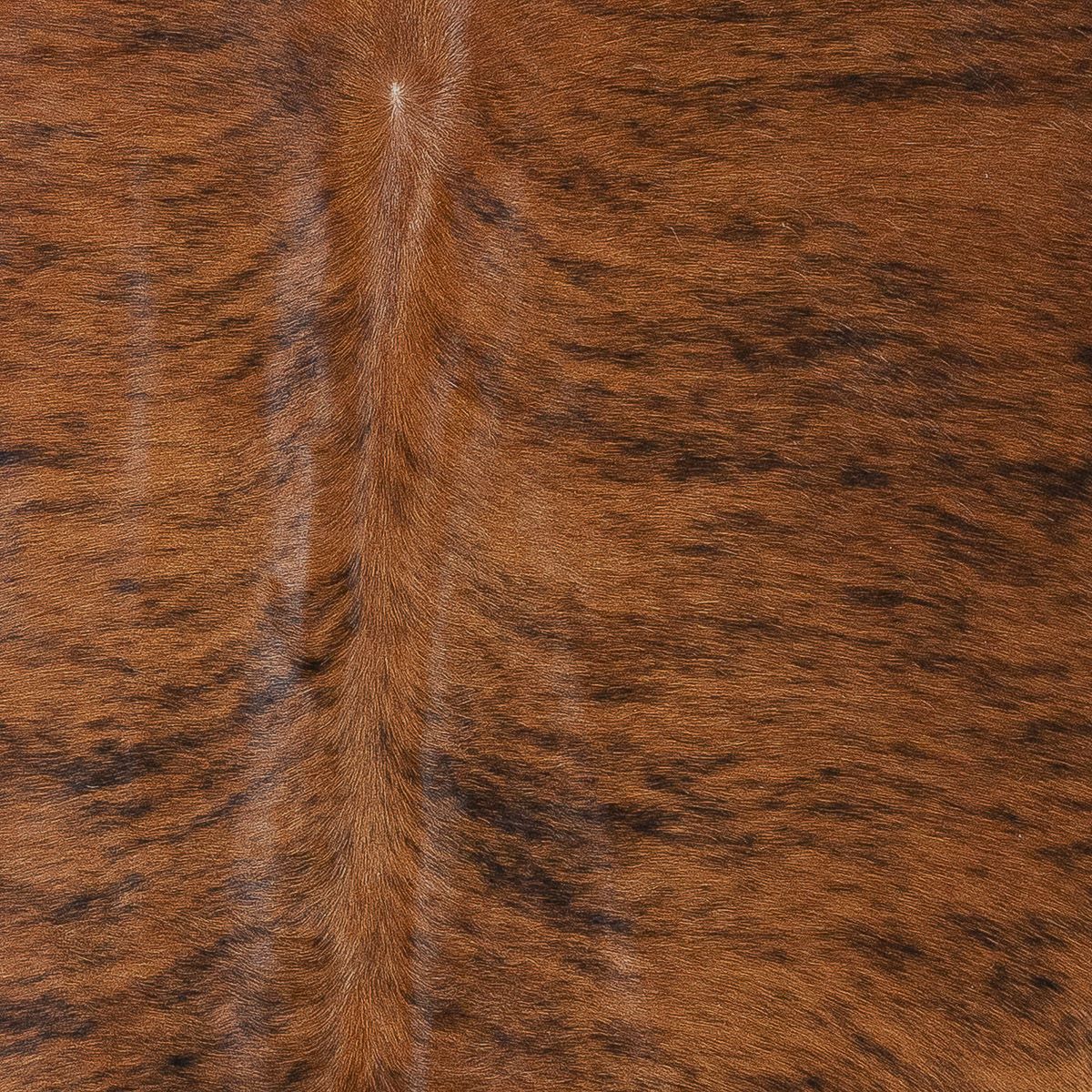 Lg Brindle