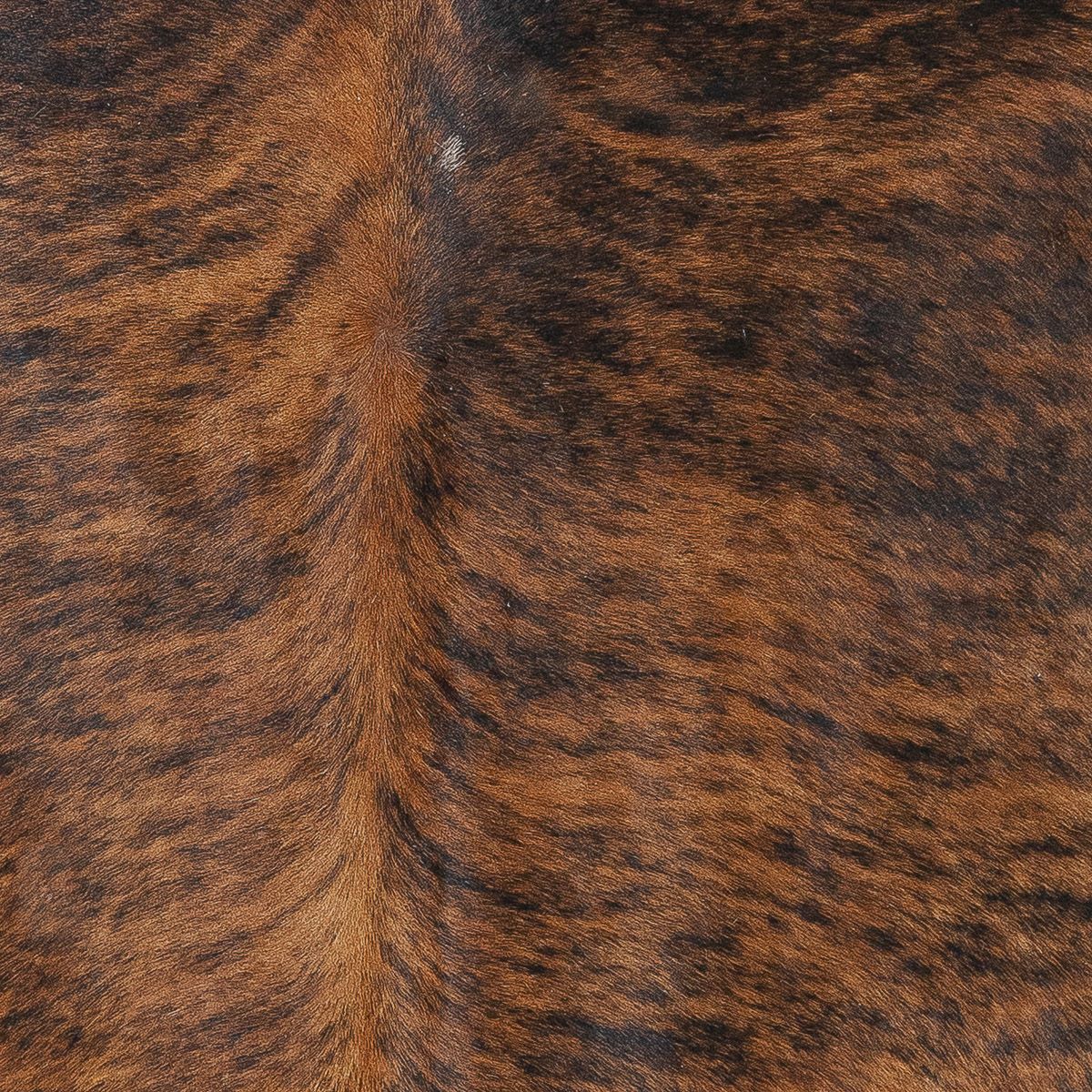 Lg Brindle