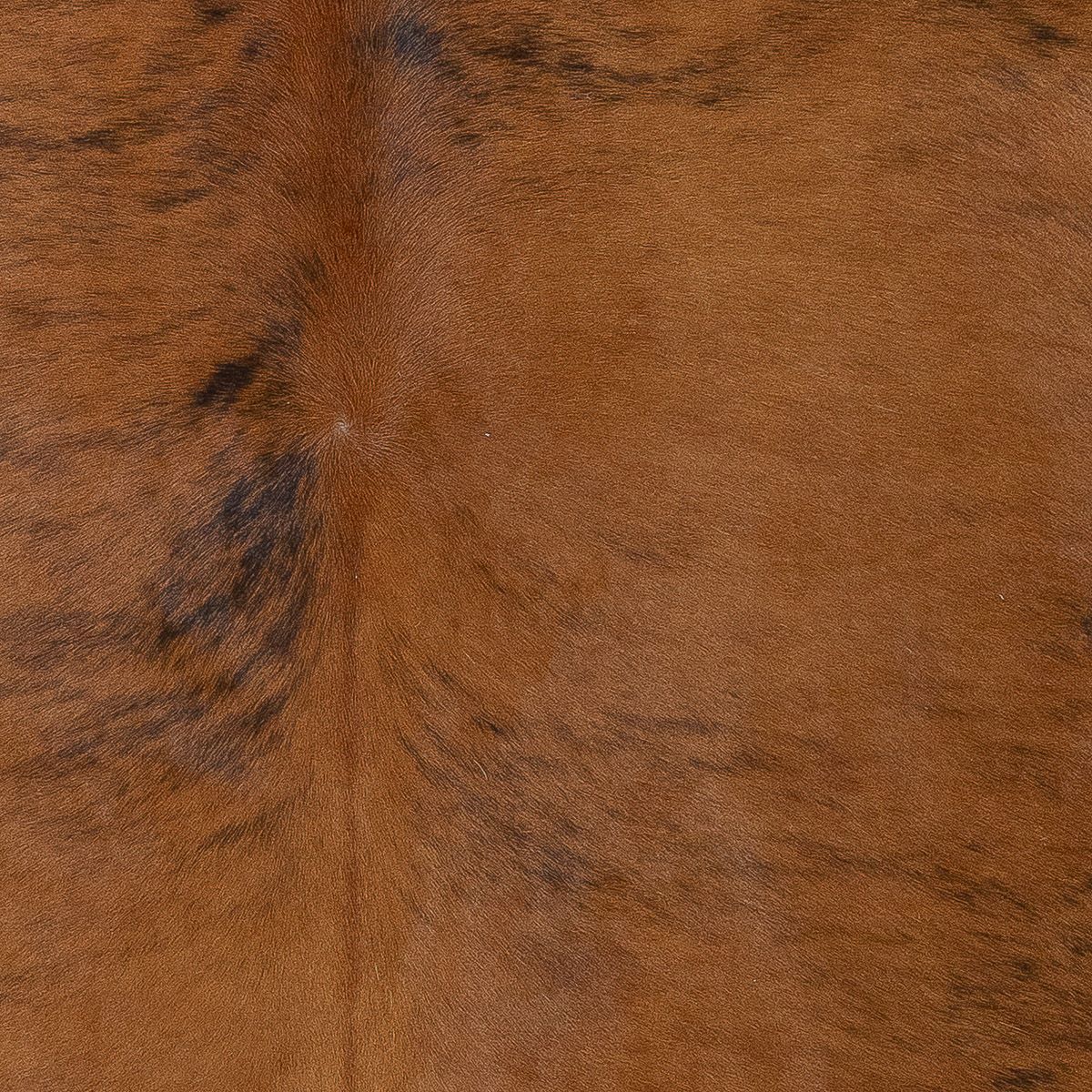 Lg Brindle