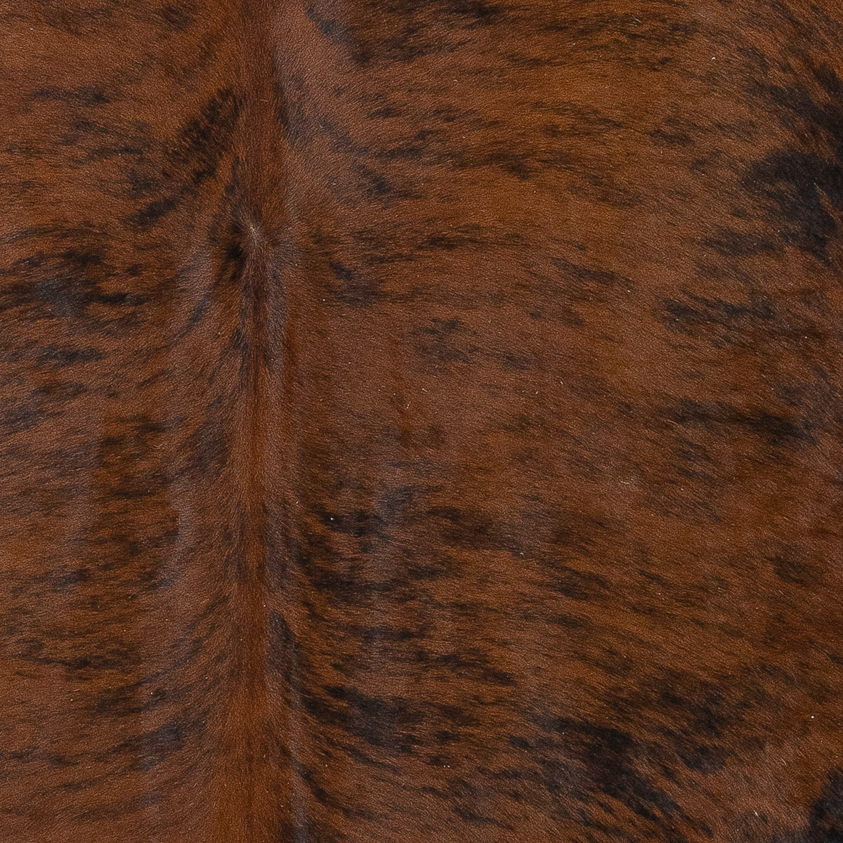 Lg Brindle