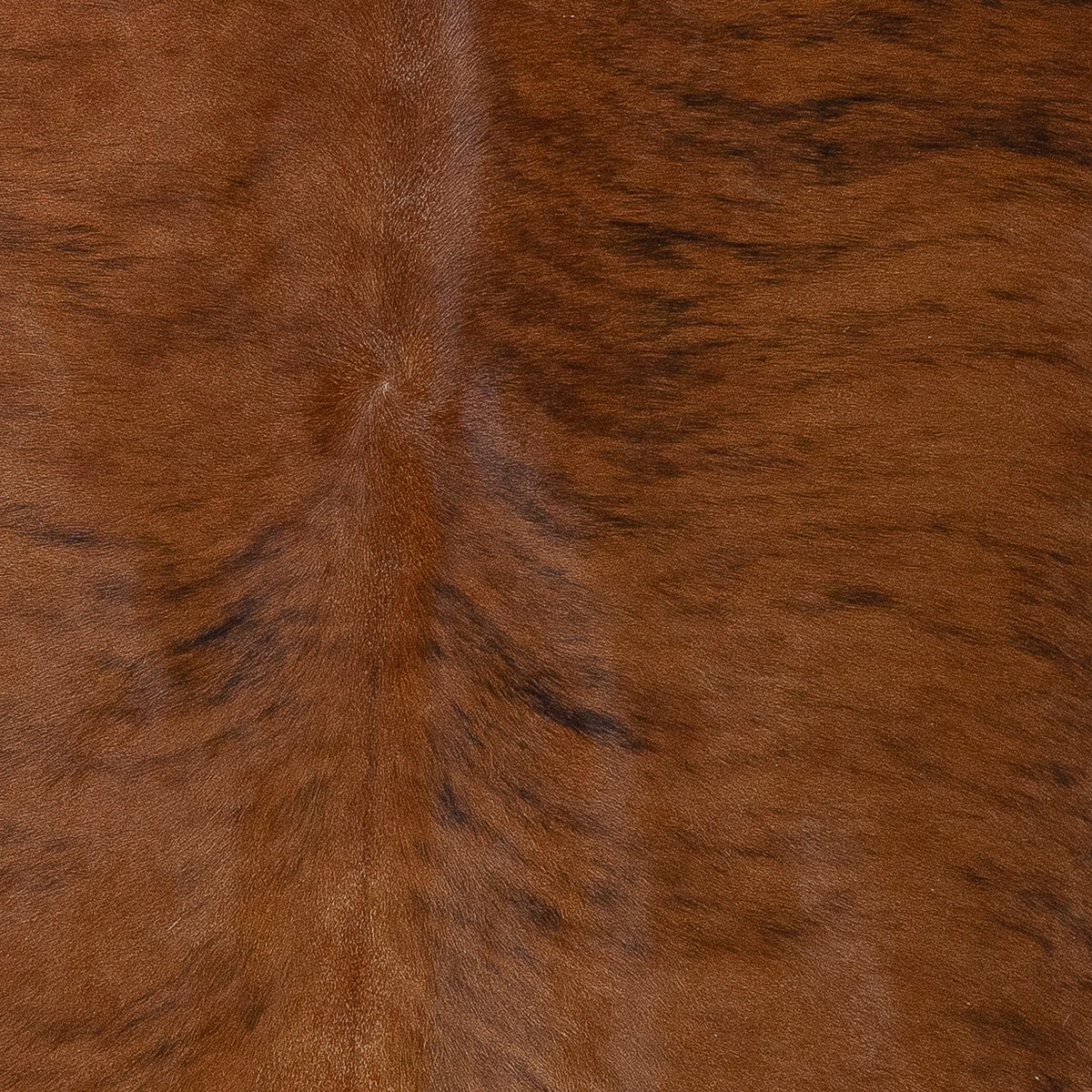 Lg Brindle