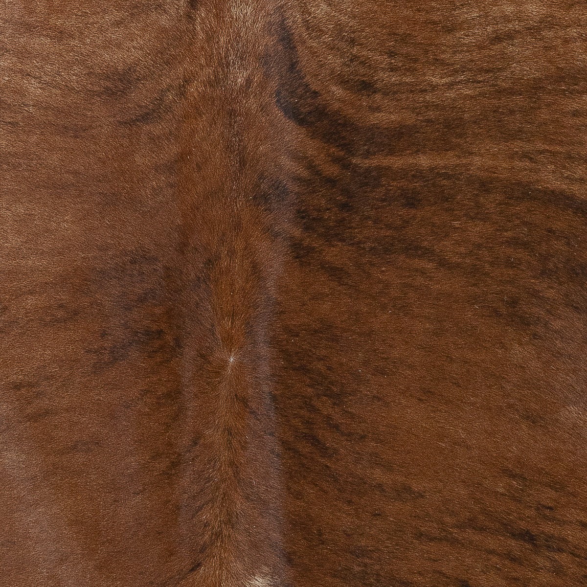 Lg Brindle
