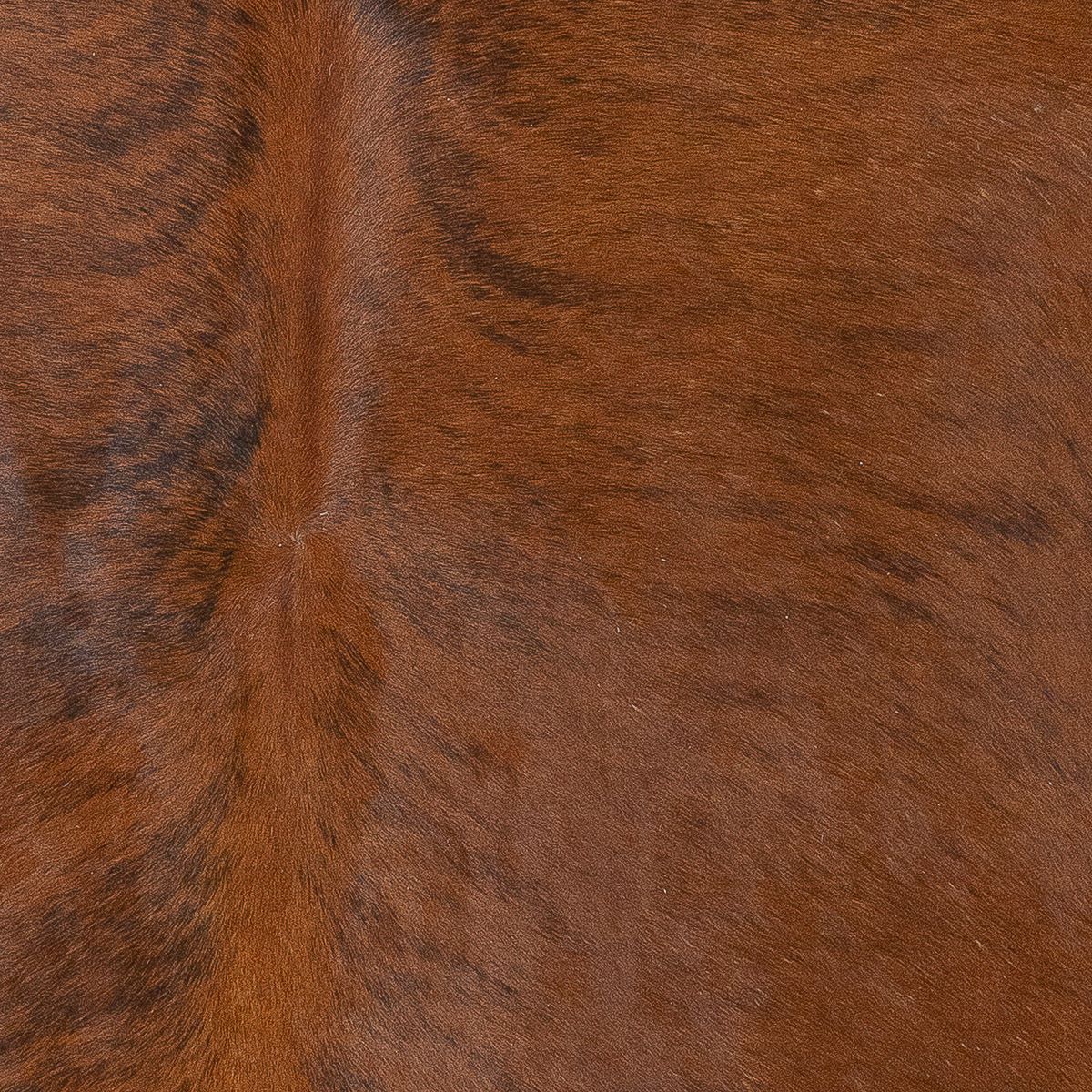 Lg Brindle