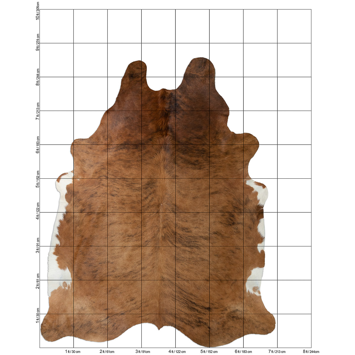 XL Brindle