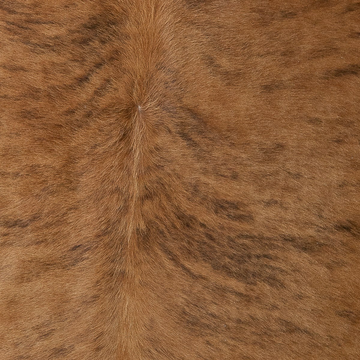 XL Brindle