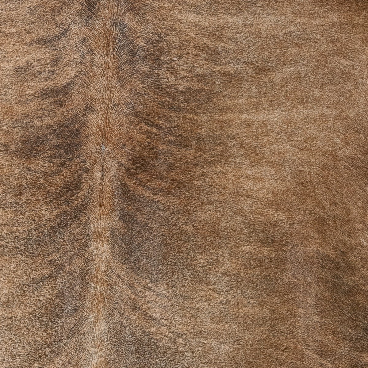 Lg Brindle