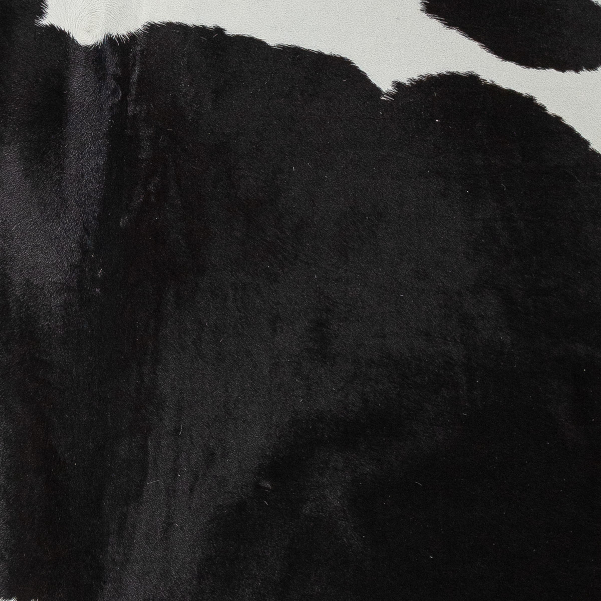 XL Black & White