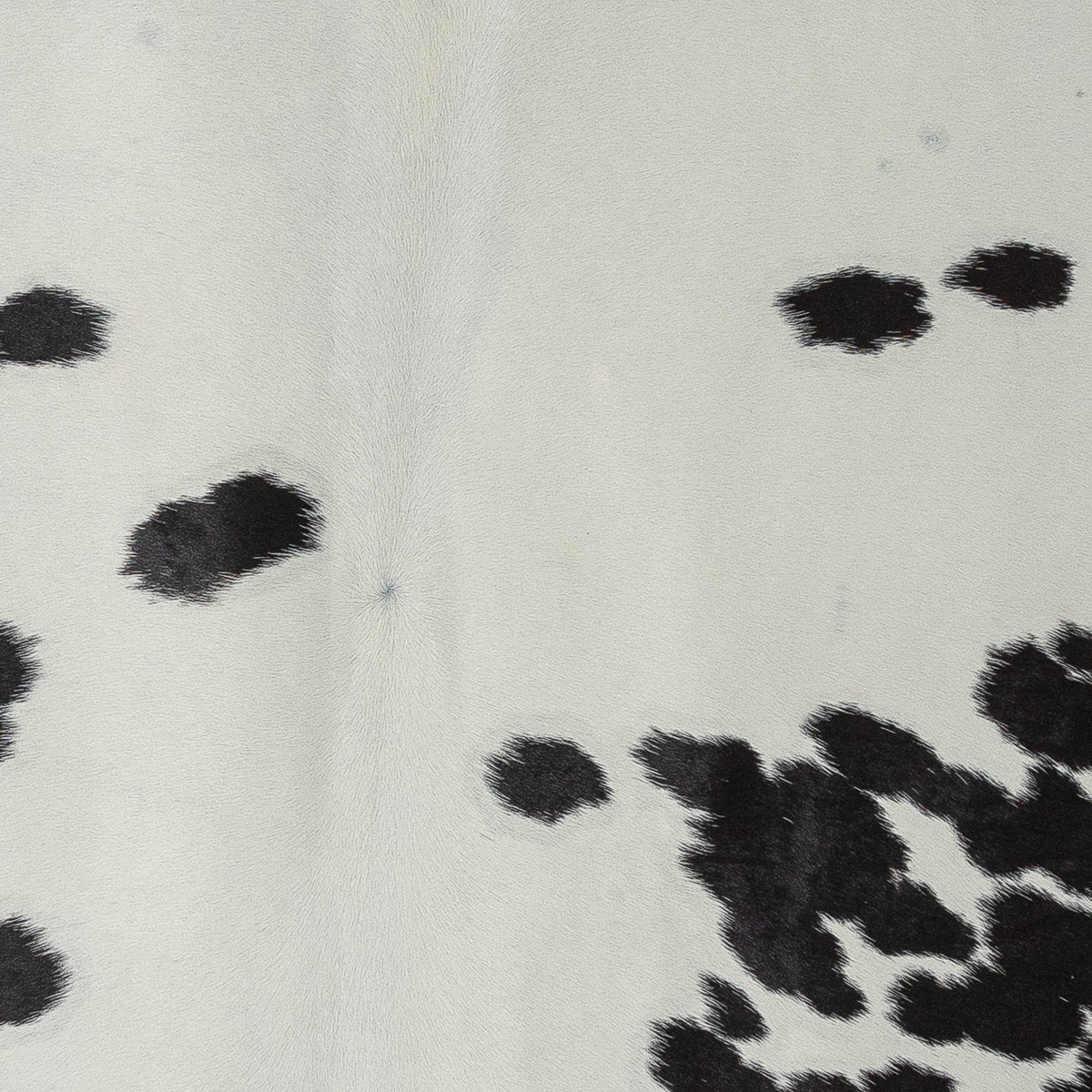 XL Black & White