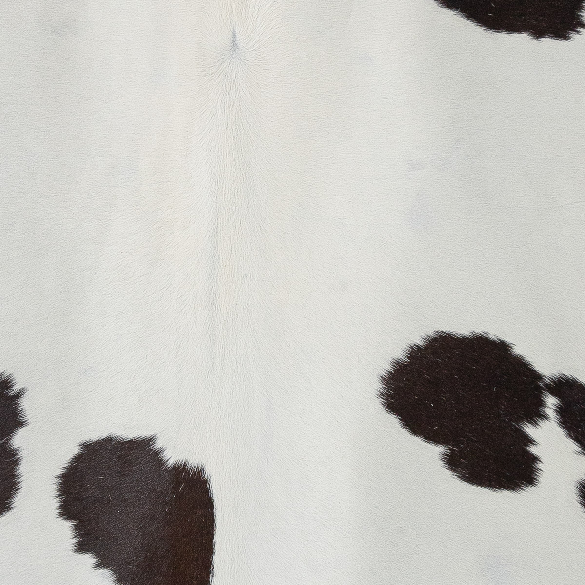 XL Black & White