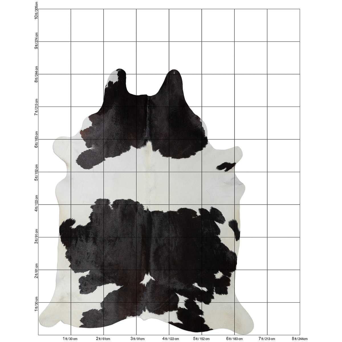 Lg Black & White Cloudy