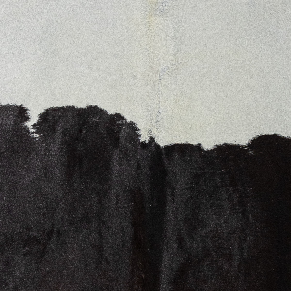 Lg Black & White Cloudy