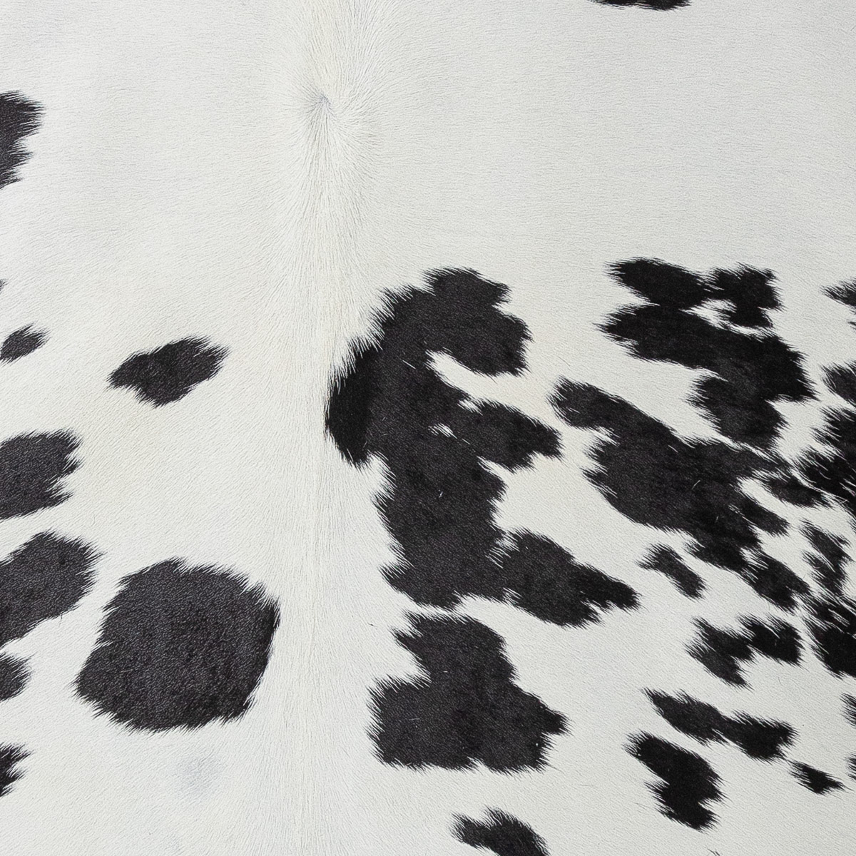 XL Black & White