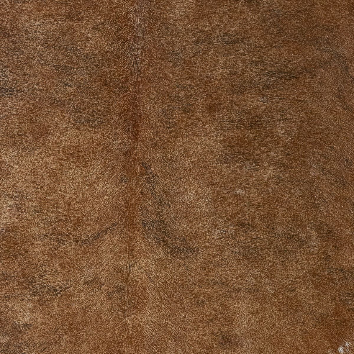 Lg Brindle