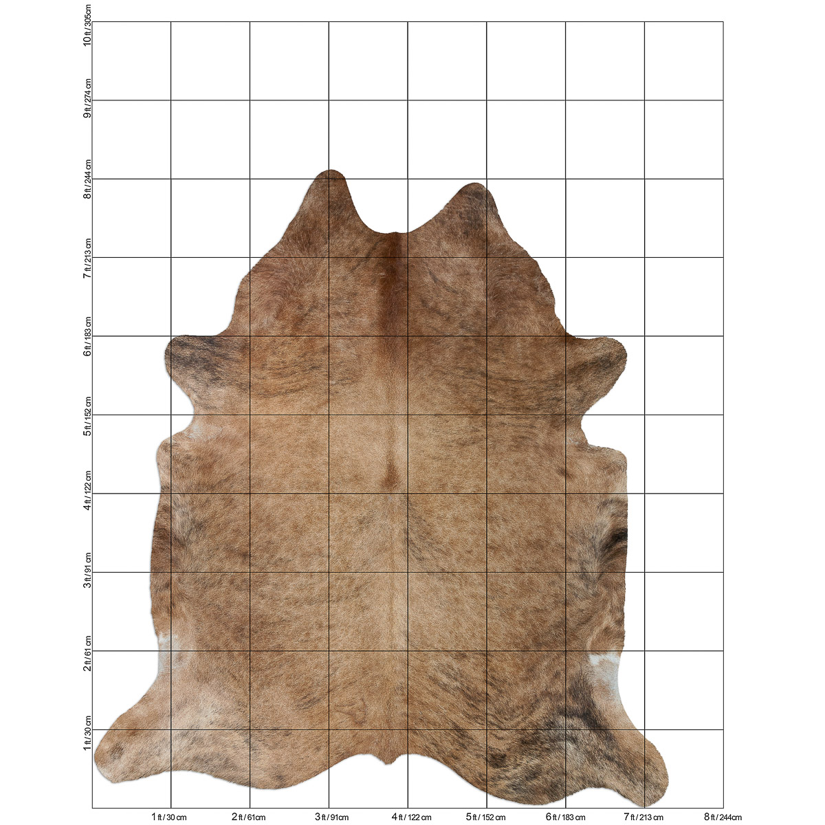 Lg Brindle