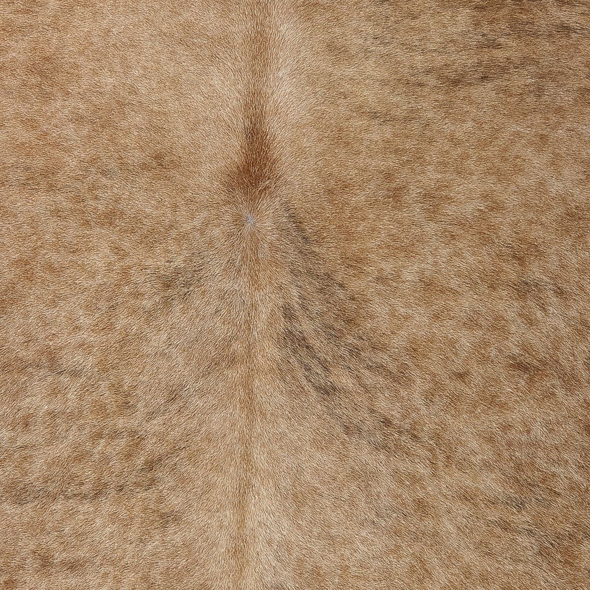 Lg Brindle
