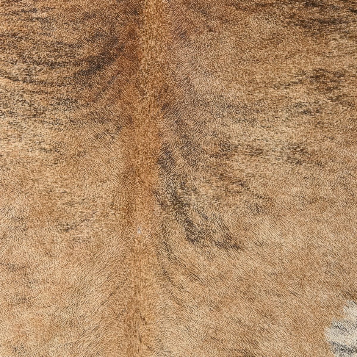 Lg Brindle