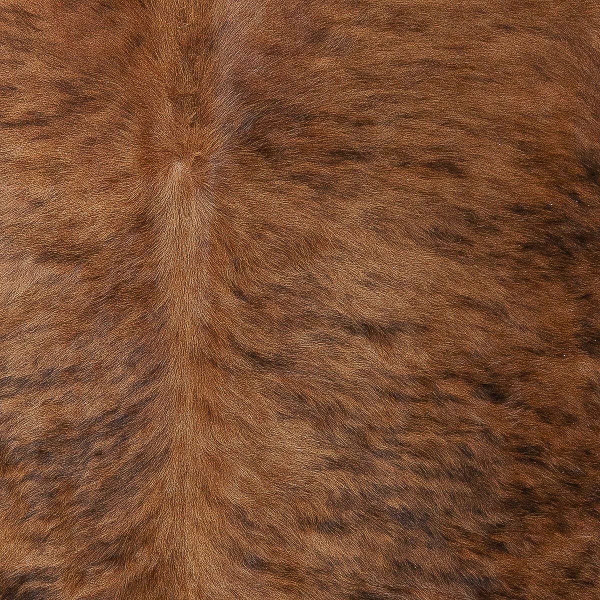 Lg Brindle