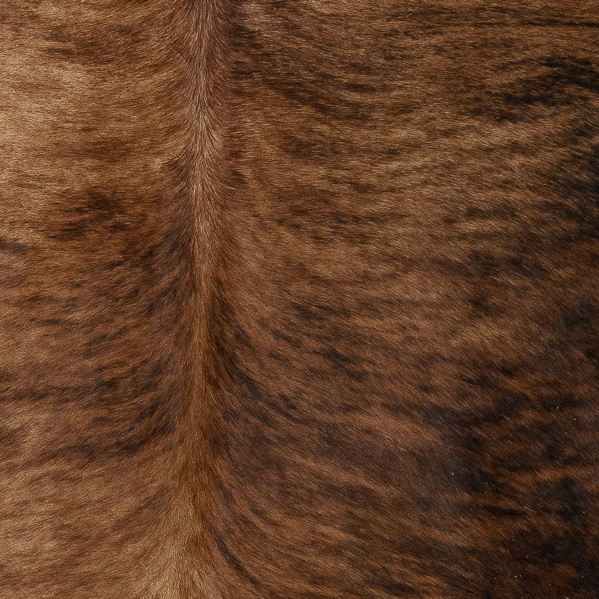 Lg Brindle