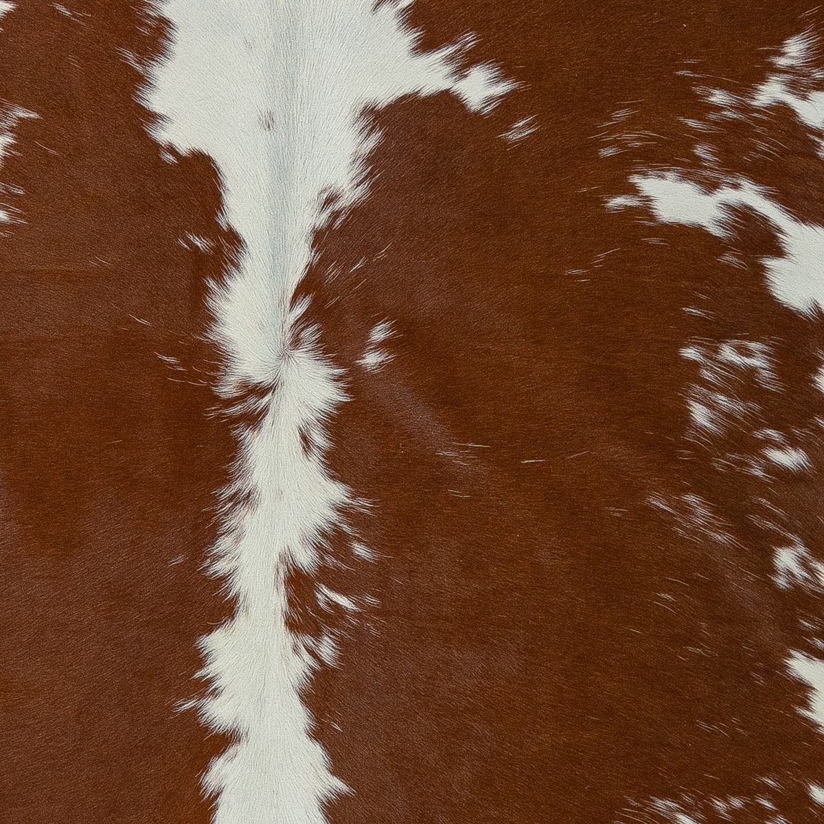Lg Brown & White
