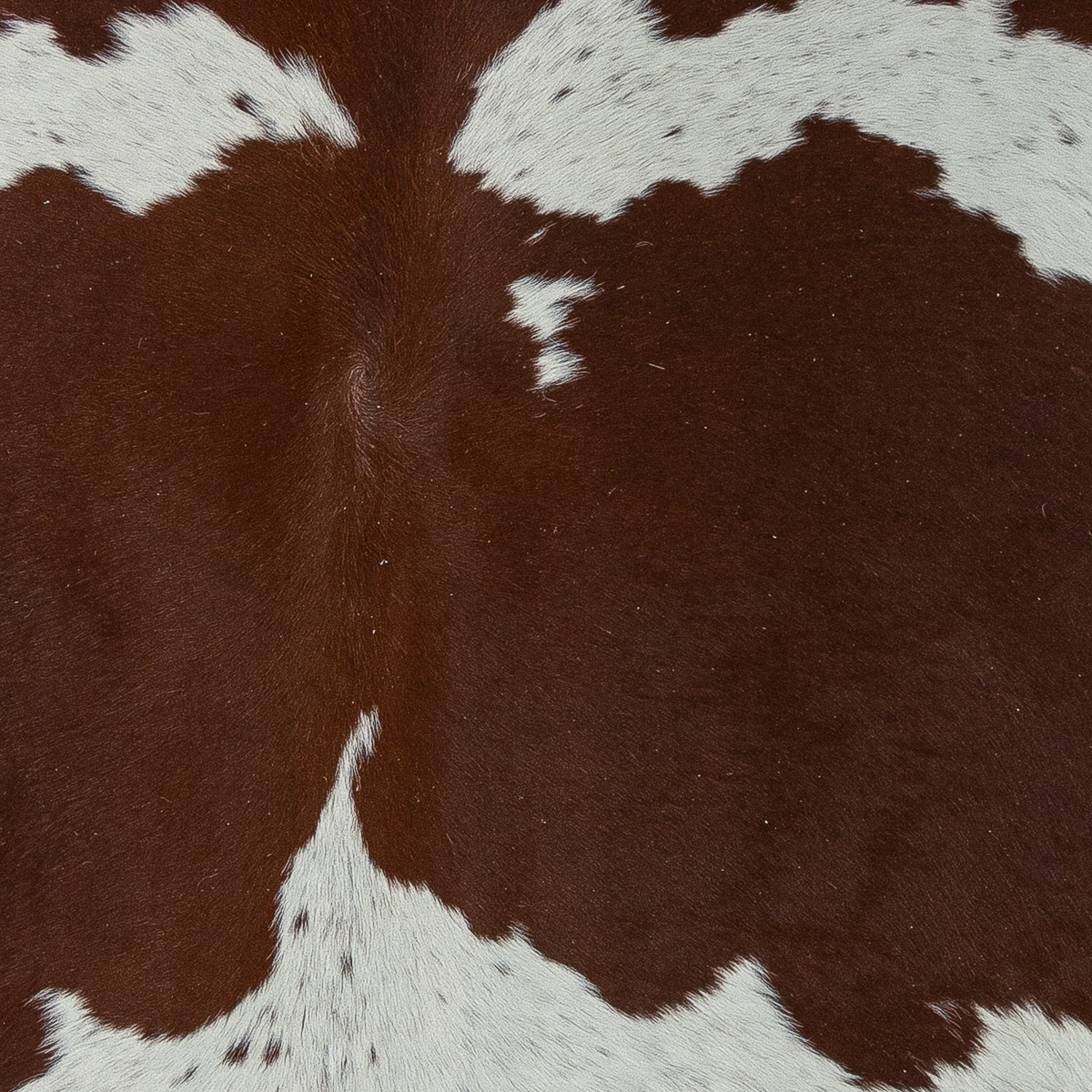 XL Brown & White Cloudy