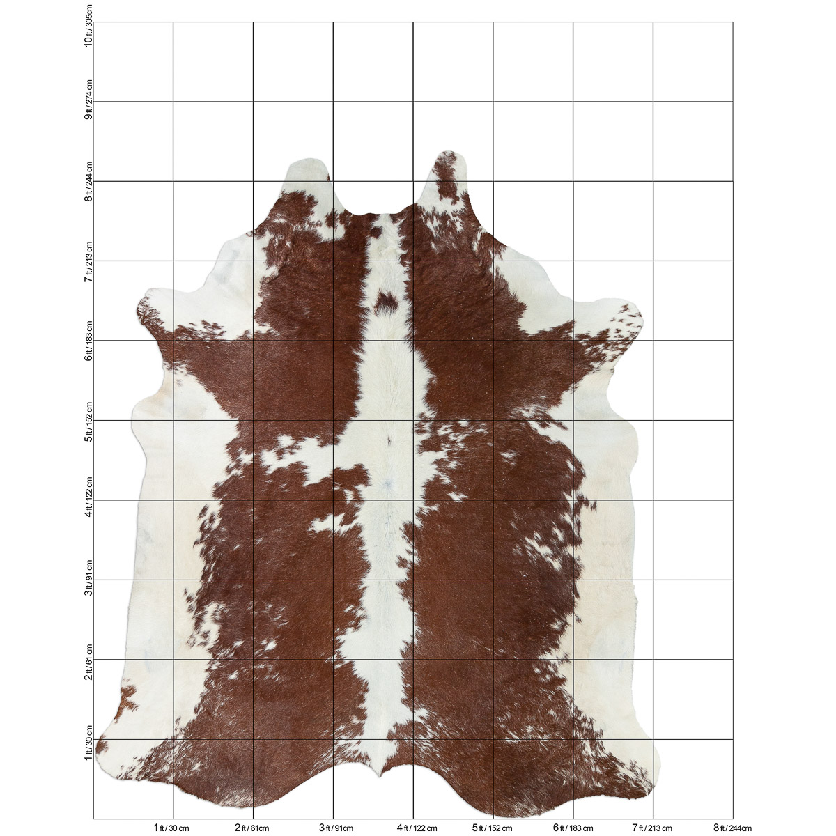 XL Brown & White