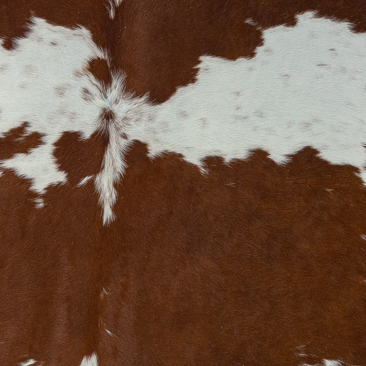 Lg Brown & White Cloudy