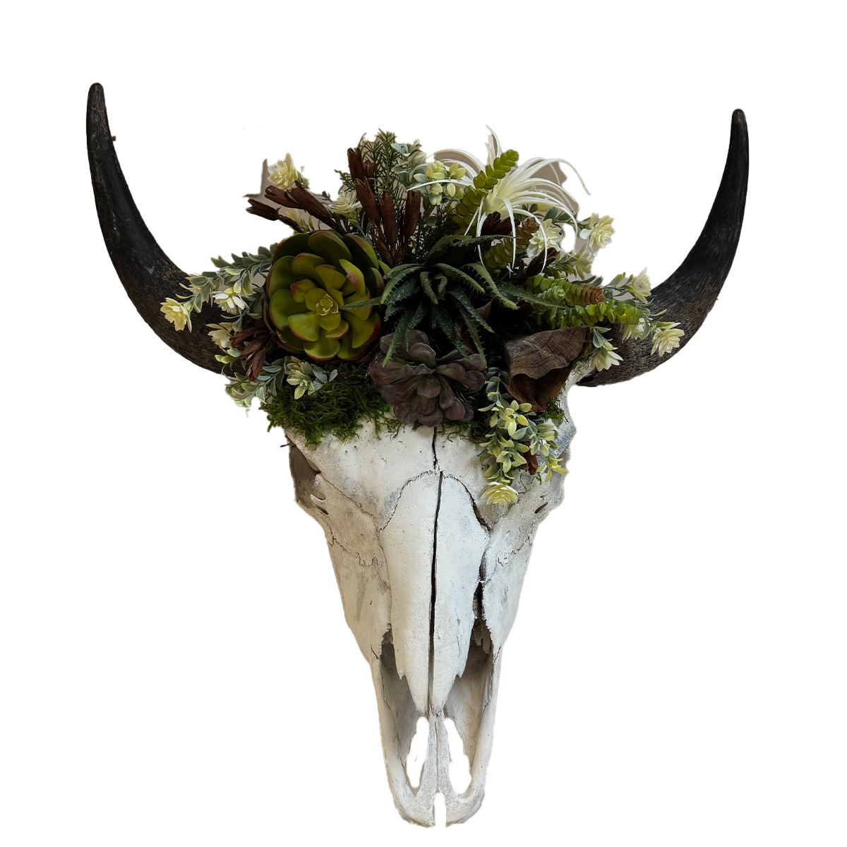 Floral Buffalo Skulls